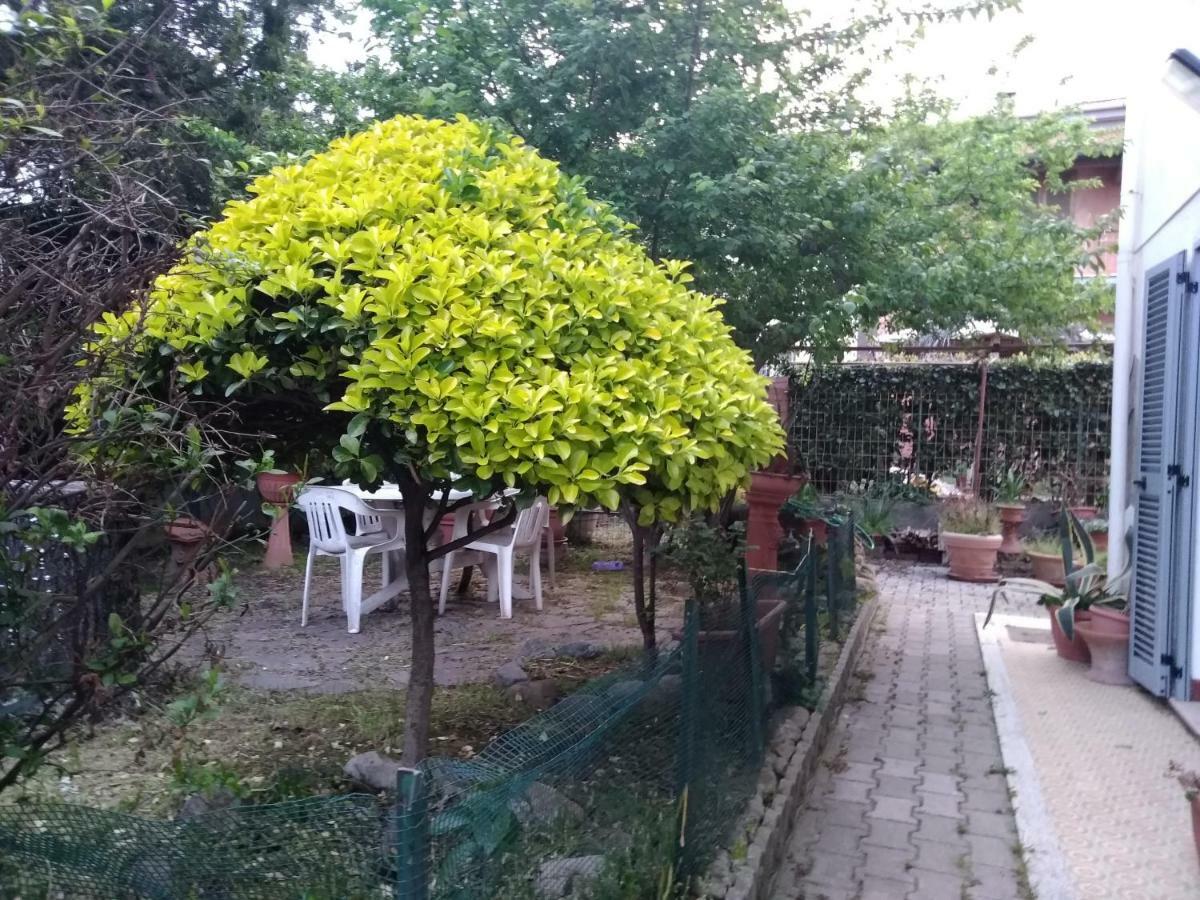Villetta Stella Чечина Экстерьер фото